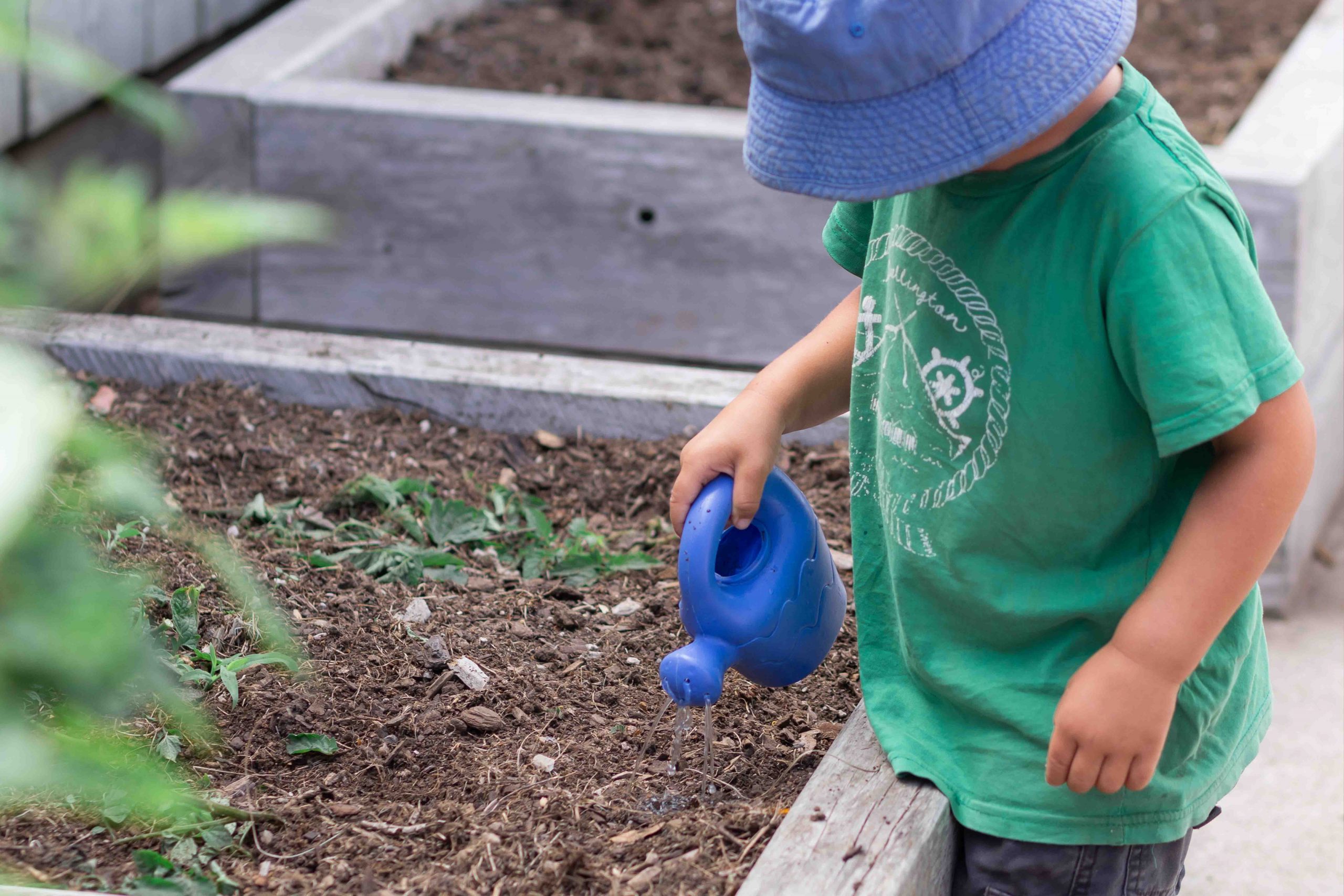 childcare palmerston north